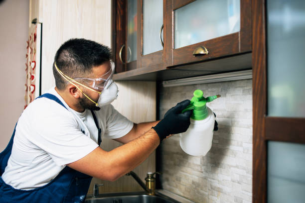 Best Residential Pest Control  in Gearhart, OR