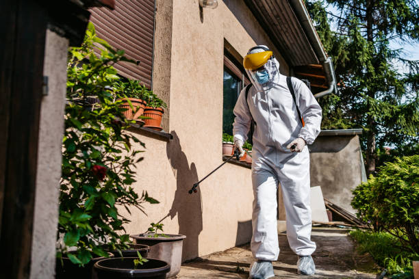 Best Pest Control Near Me  in Gearhart, OR