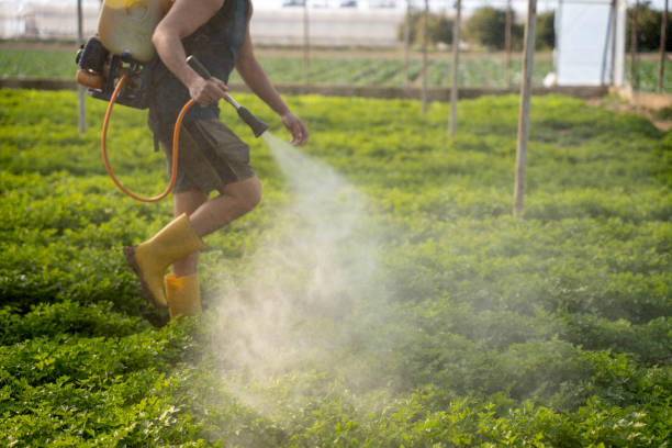Best Affordable Pest Control Services  in Gearhart, OR