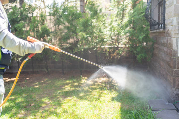 Professional Pest Control in Gearhart, OR