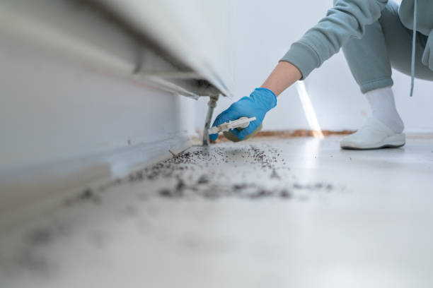 Best Commercial Pest Control Services  in Gearhart, OR