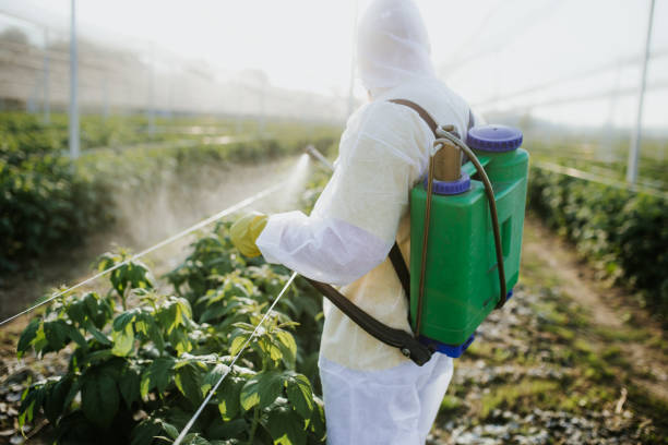 Best Pest Control Cost  in Gearhart, OR
